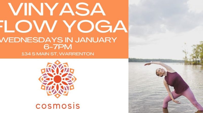 vinyasa flow yoga cosmosis warrenton nc