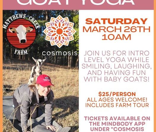 goat yoga cosmosis matthews creek farm march 26 2022 norlina warren county nc