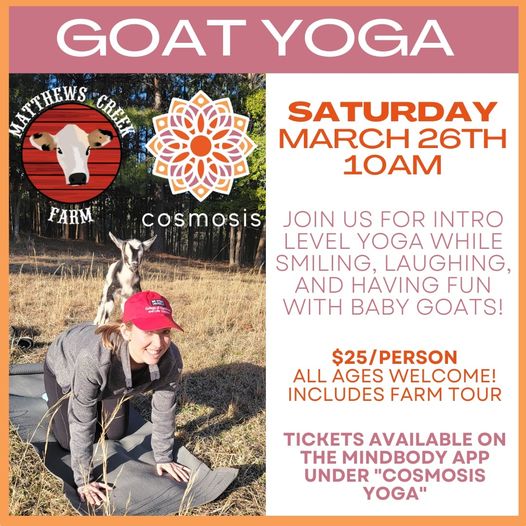 goat yoga cosmosis matthews creek farm march 26 2022 norlina warren county nc