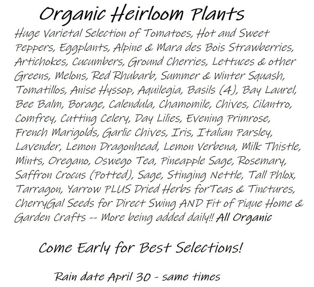 spring plantapalooza cherry gal organic heirloom plants warrenton warren county nc 2022