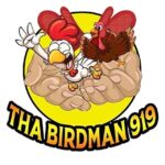 tha birdman 919 food truck nc