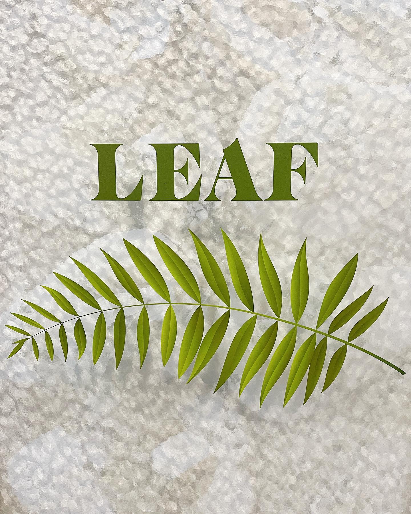 leaf floral design home garden shop plants warrenton nc shawn collier domicile concierge services