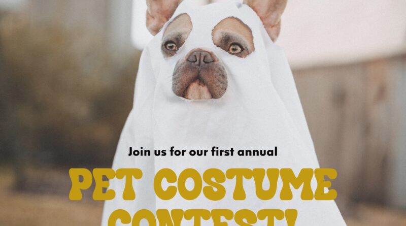 pet costume contest bragging rooster 2023