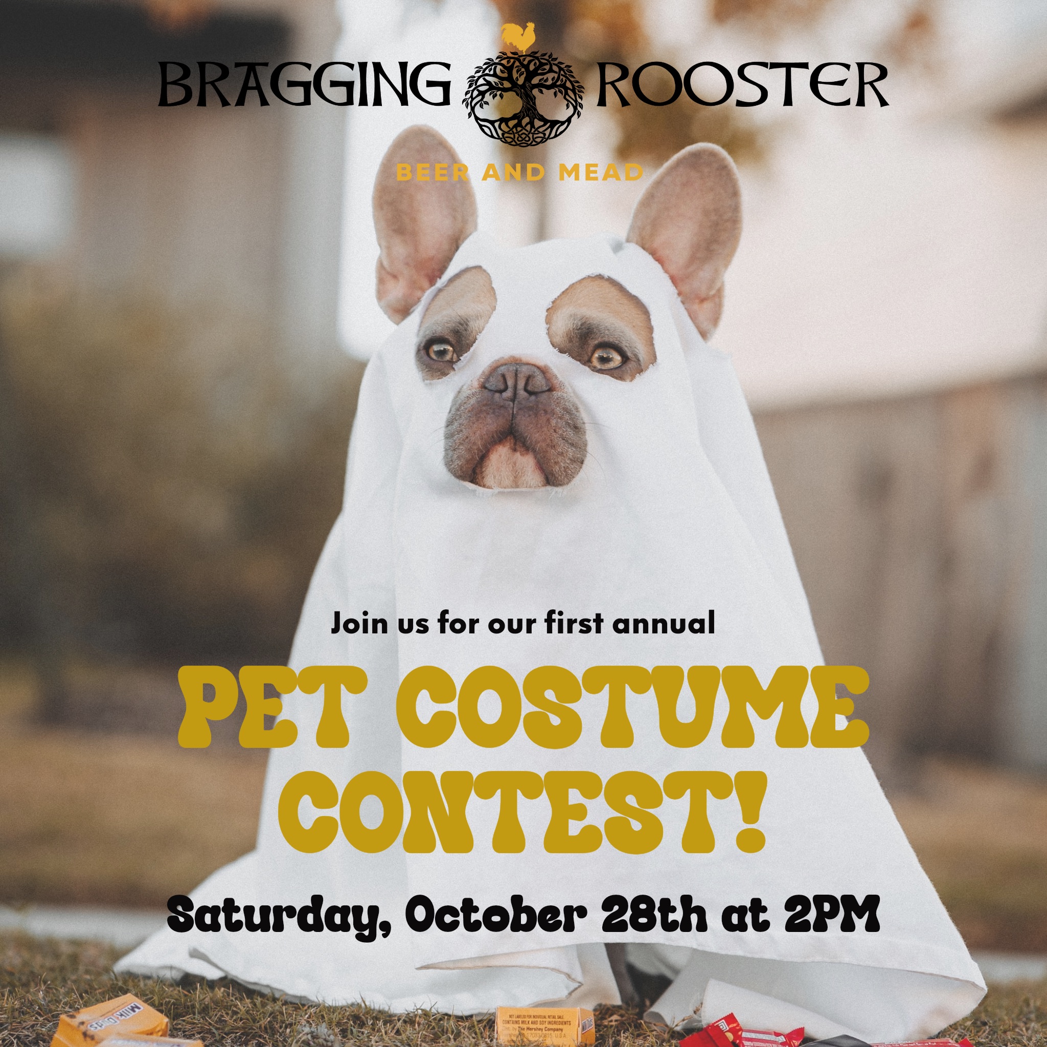 pet costume contest bragging rooster 2023