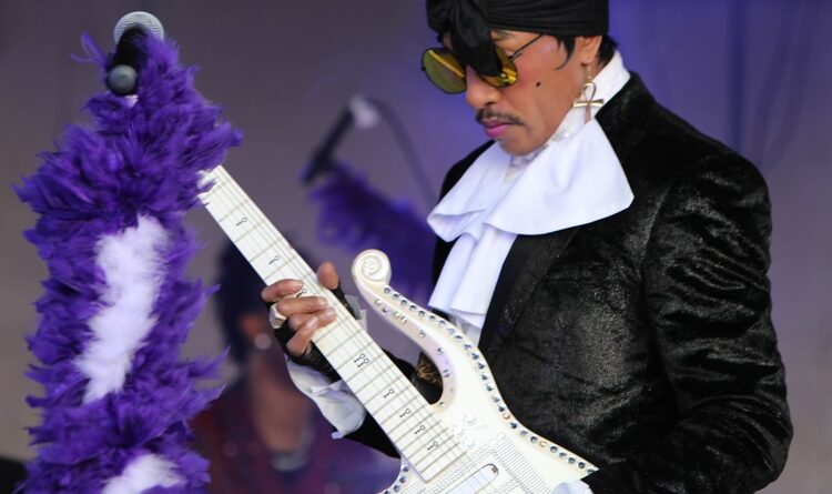 prince tribute live music entertainment seven springs farm and vineyard