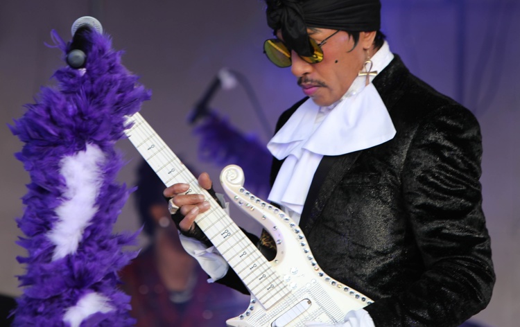 prince tribute live music entertainment seven springs farm and vineyard