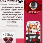 valentines-day-pawty-lakeside-dog-boarding-littleton-nc-2024