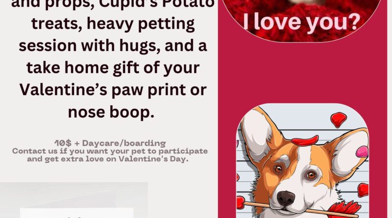 valentines-day-pawty-lakeside-dog-boarding-littleton-nc-2024