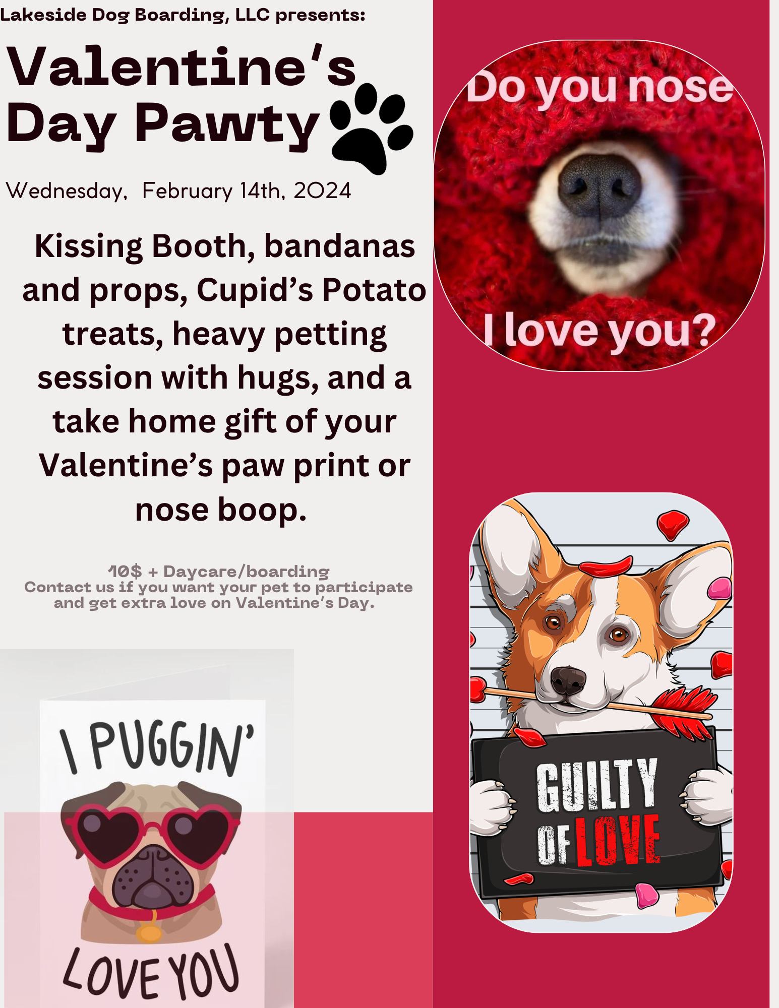 valentines-day-pawty-lakeside-dog-boarding-littleton-nc-2024