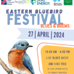 Eastern Bluebird Festival Flyer warrenton nc 2024