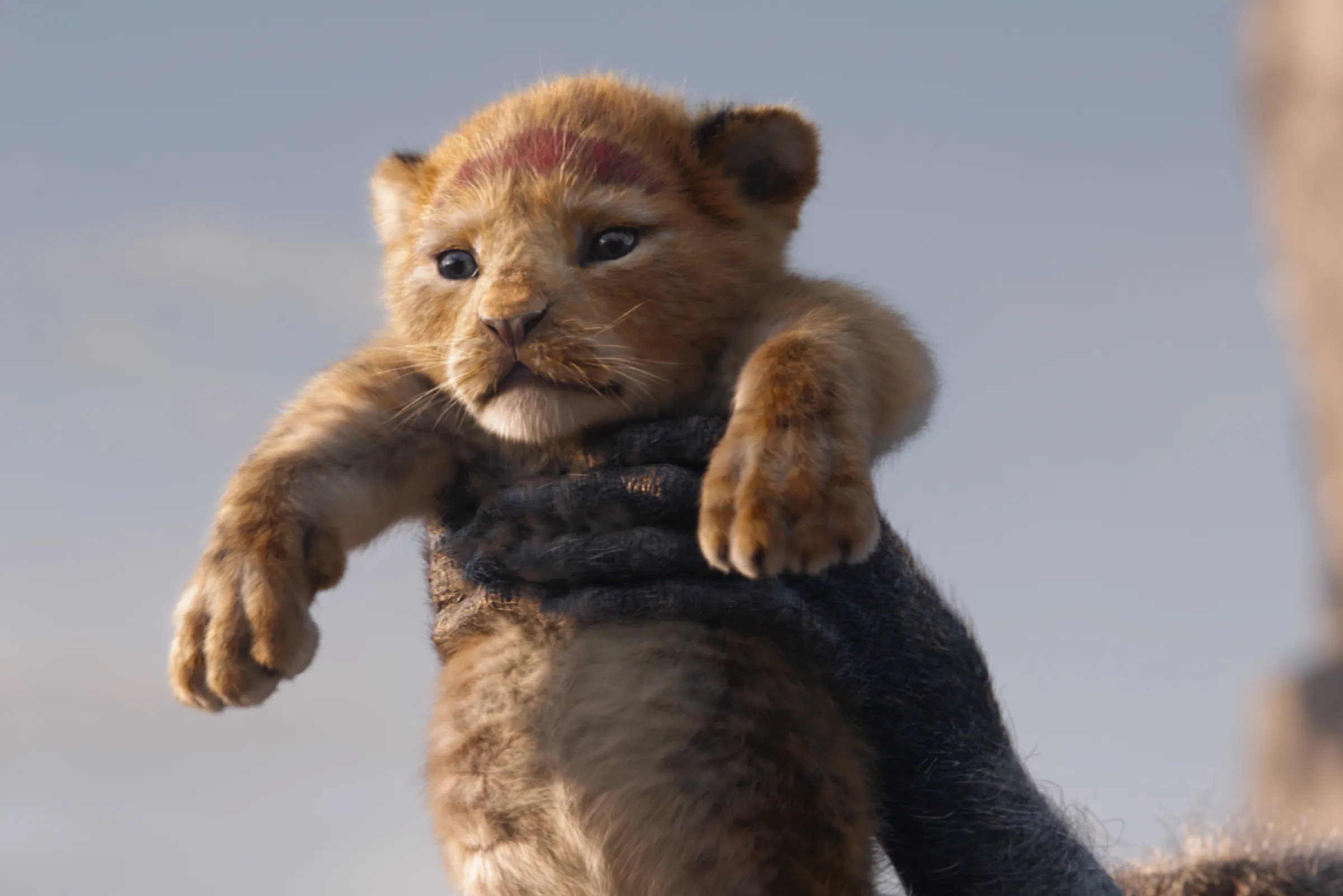 the lion king 2019 movie showing nc