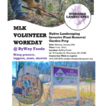 mlk volunteer workday working landscapes warrenton nc january 2025