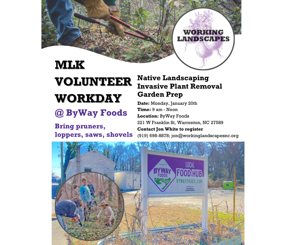 mlk volunteer workday working landscapes warrenton nc january 2025