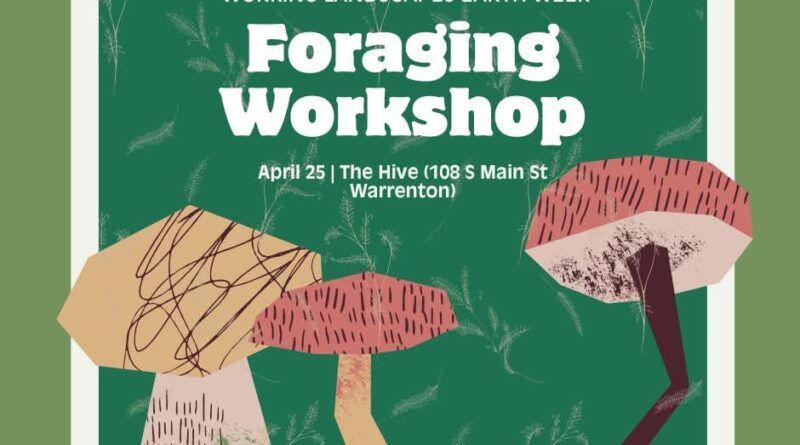 foraging workshop the hive working landscapes warrenton nc april 25 2025