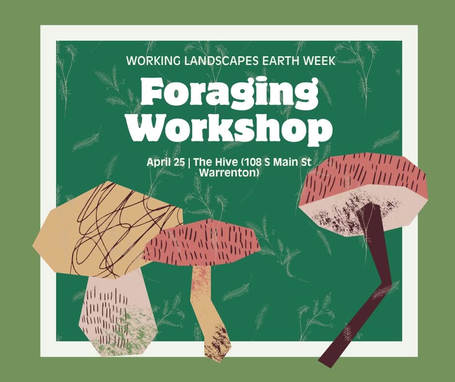 foraging workshop the hive working landscapes warrenton nc april 25 2025