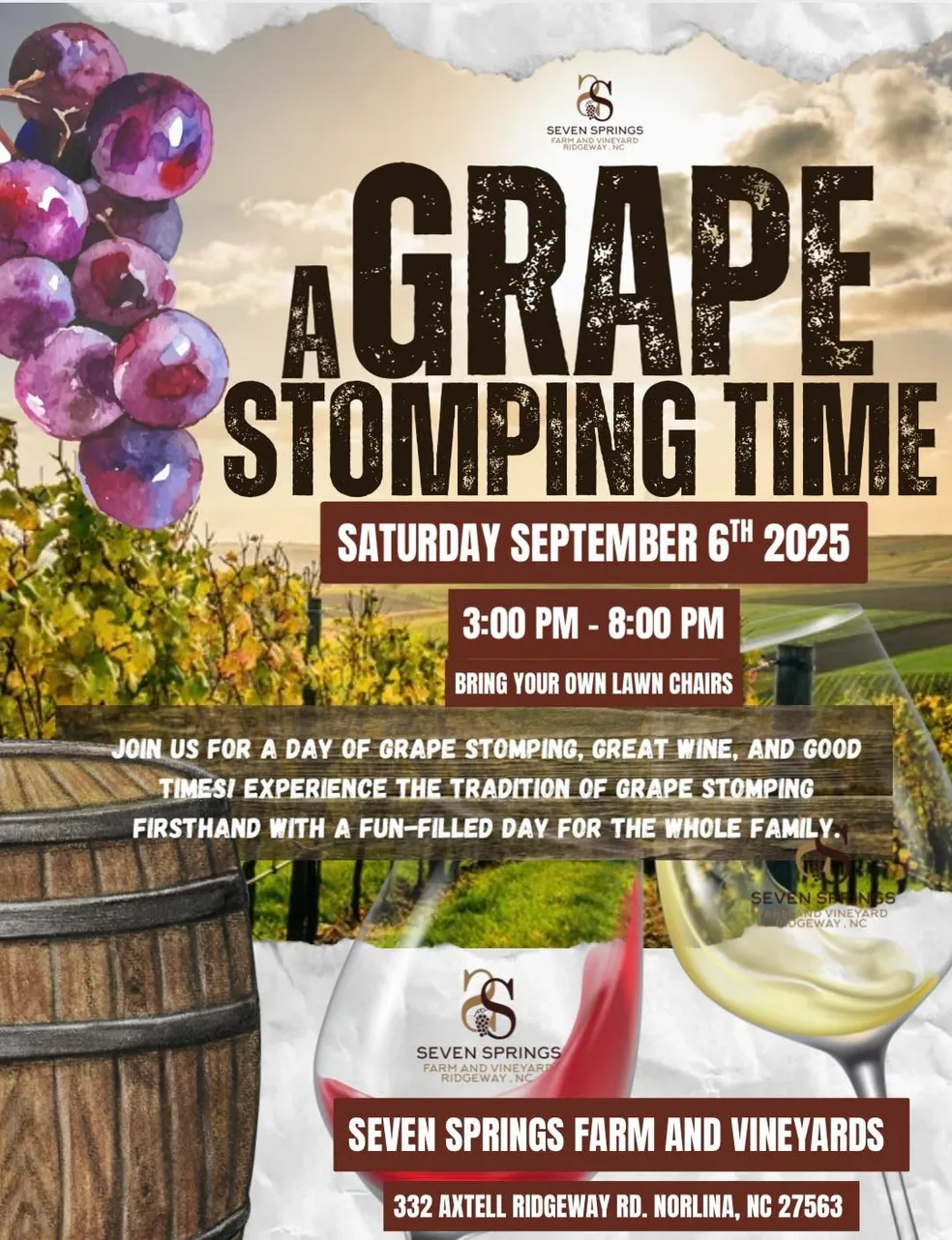 grape stomping time seven springs farm and vineyard norlina sept 2025