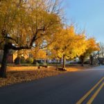 Warrenist-warren-county-nc-lifestyle entertainment blog