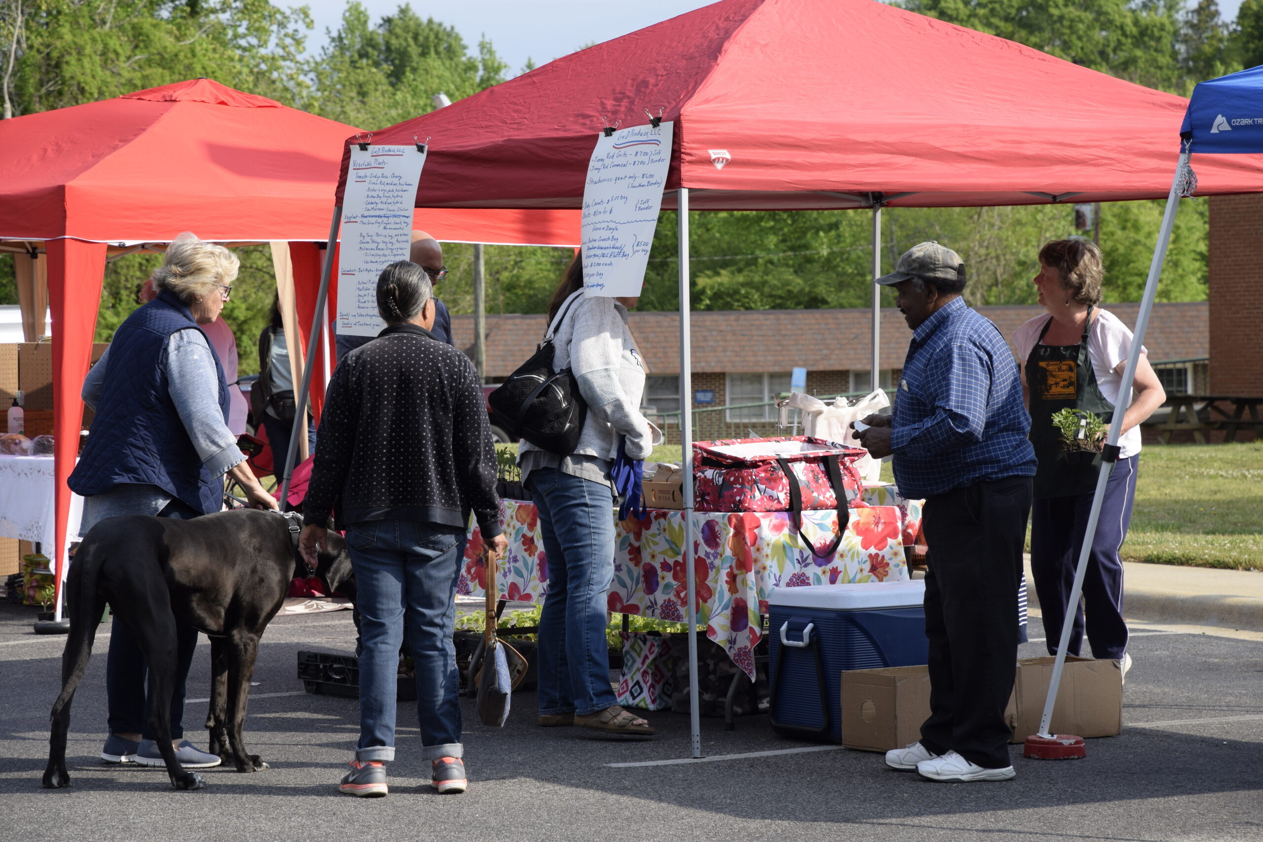 warren county farmers market north carolina nc