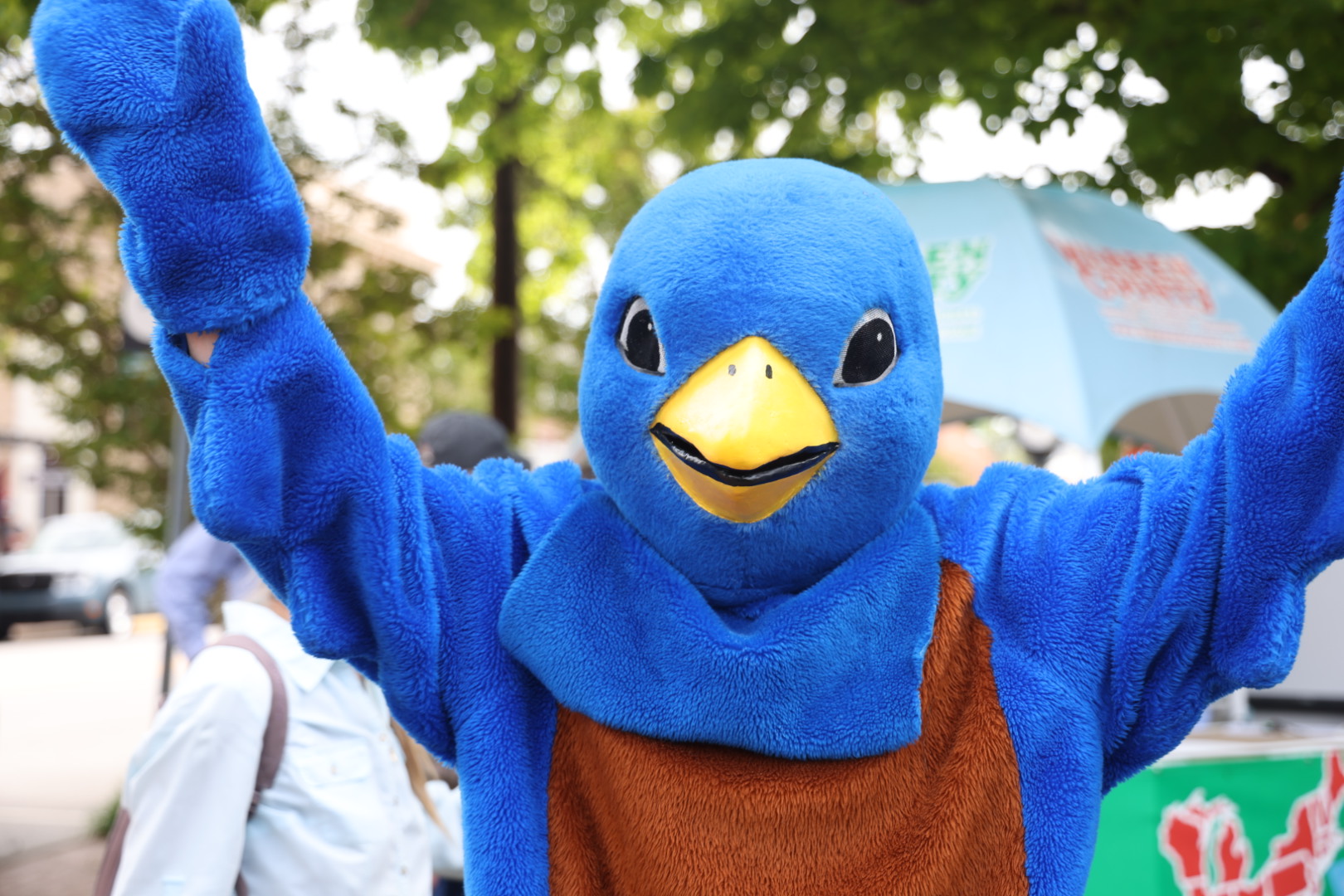 eastern bluebird festival warrenton warren county nc warrenist