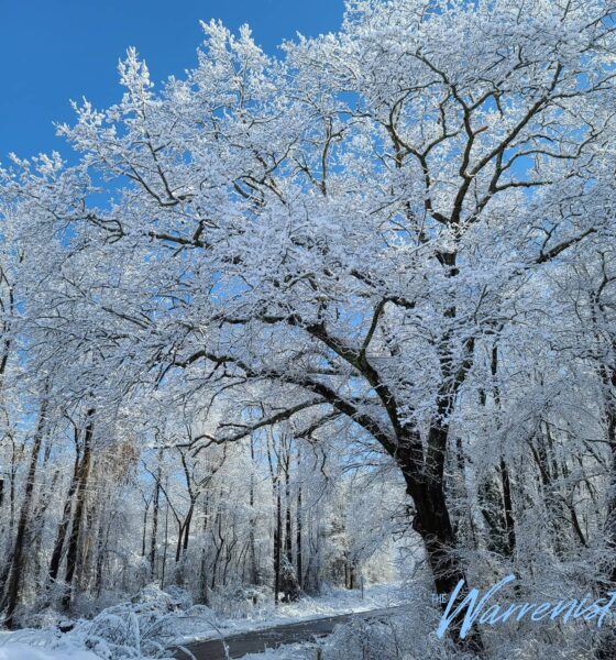 warren county nc snow day winter weather season