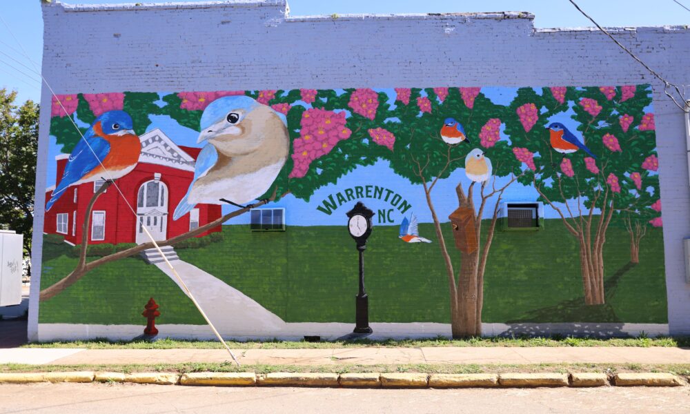 Eastern Bluebird Mural Warrenton NC