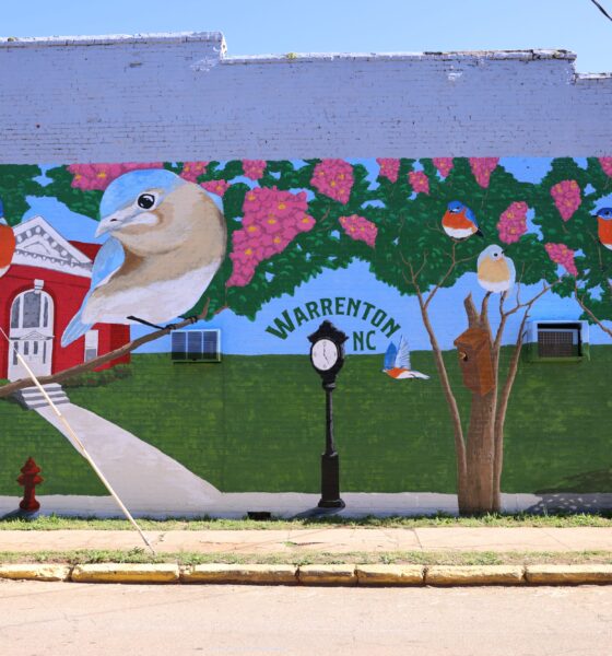 Eastern Bluebird Mural Warrenton NC