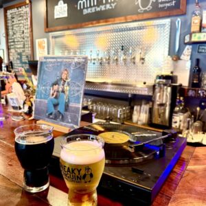 vinyl night sneaky penguin at mill hill warrenton nc